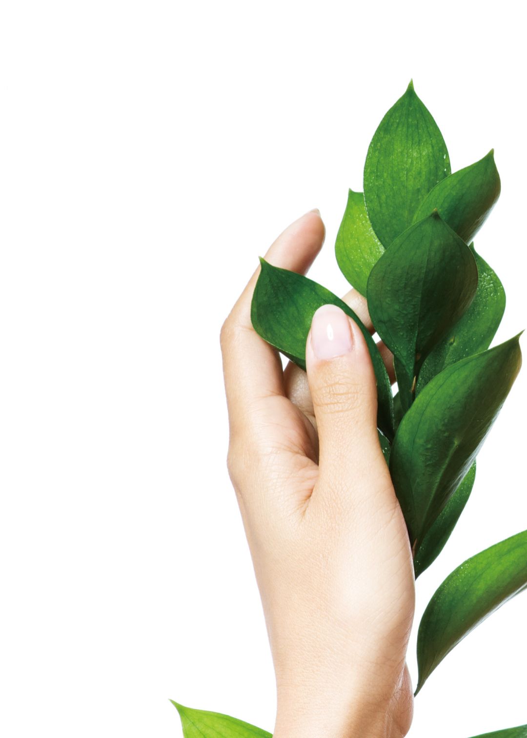 アロマ処方について